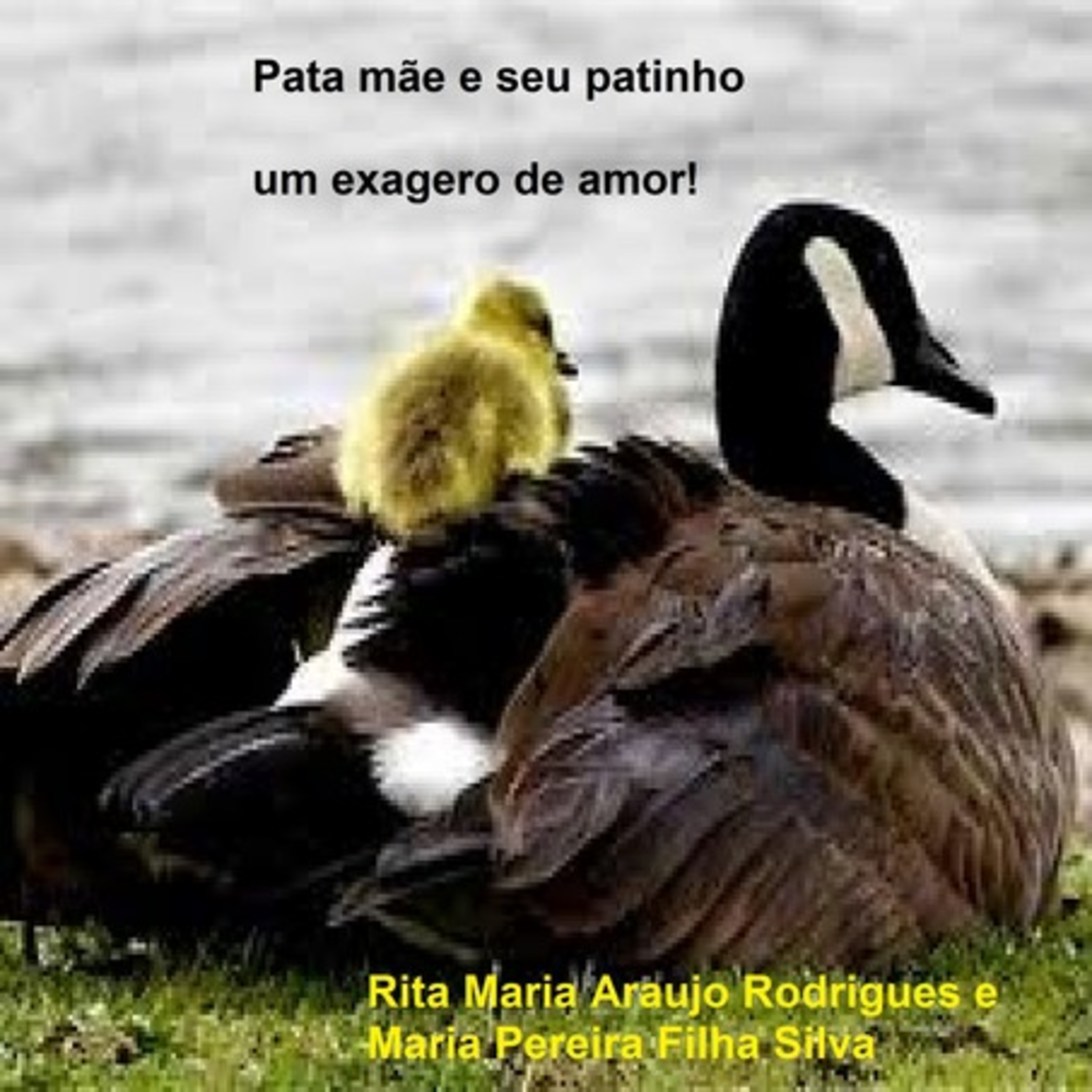 Pata Mãe E Seu Patinho