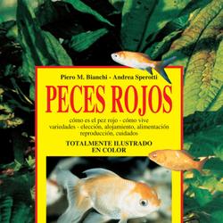 Peces rojos