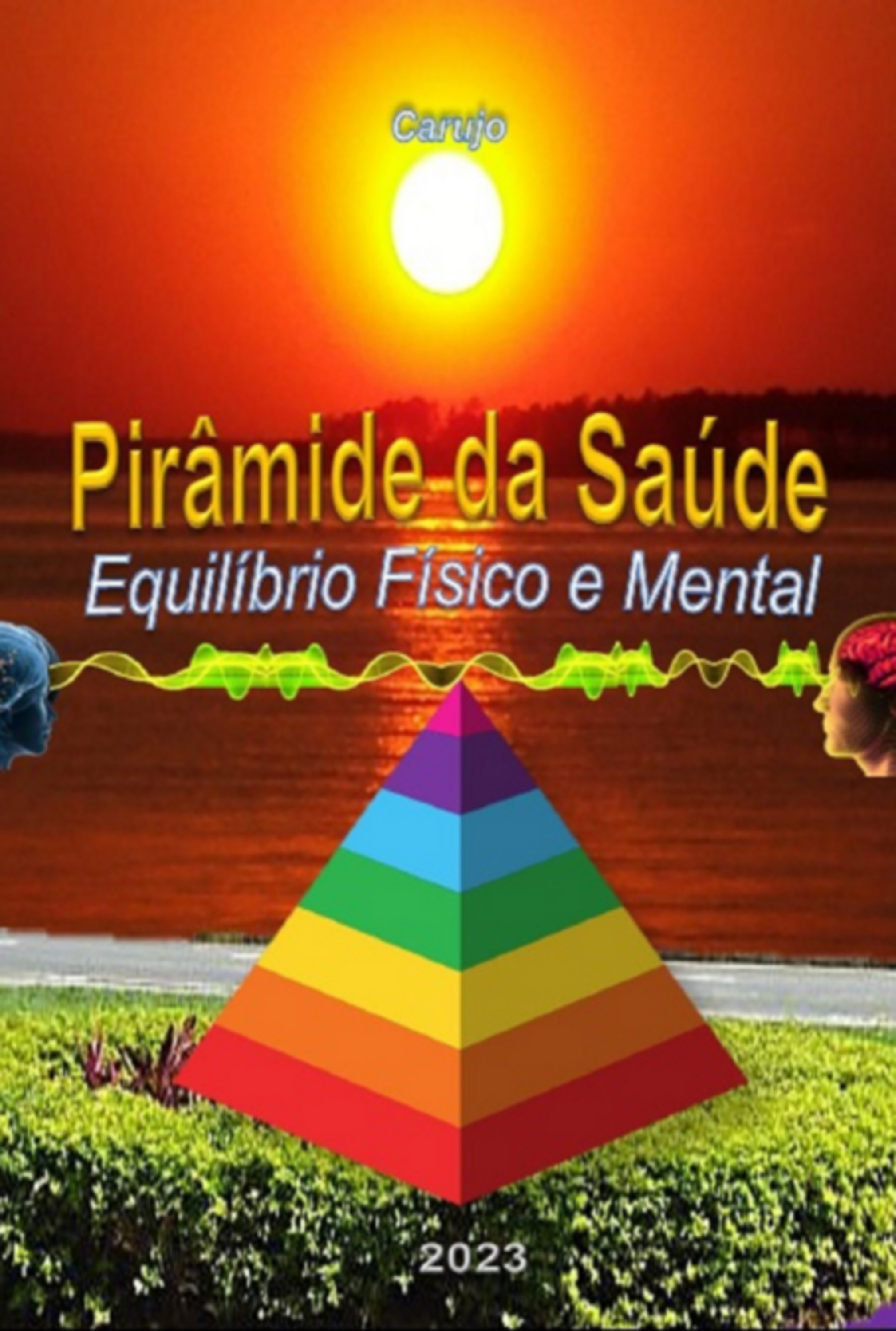 Pirâmide Da Saúde