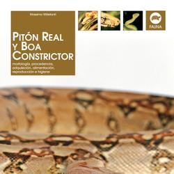 Pitón real y boa constrictor