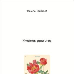 Pivoines pourpres