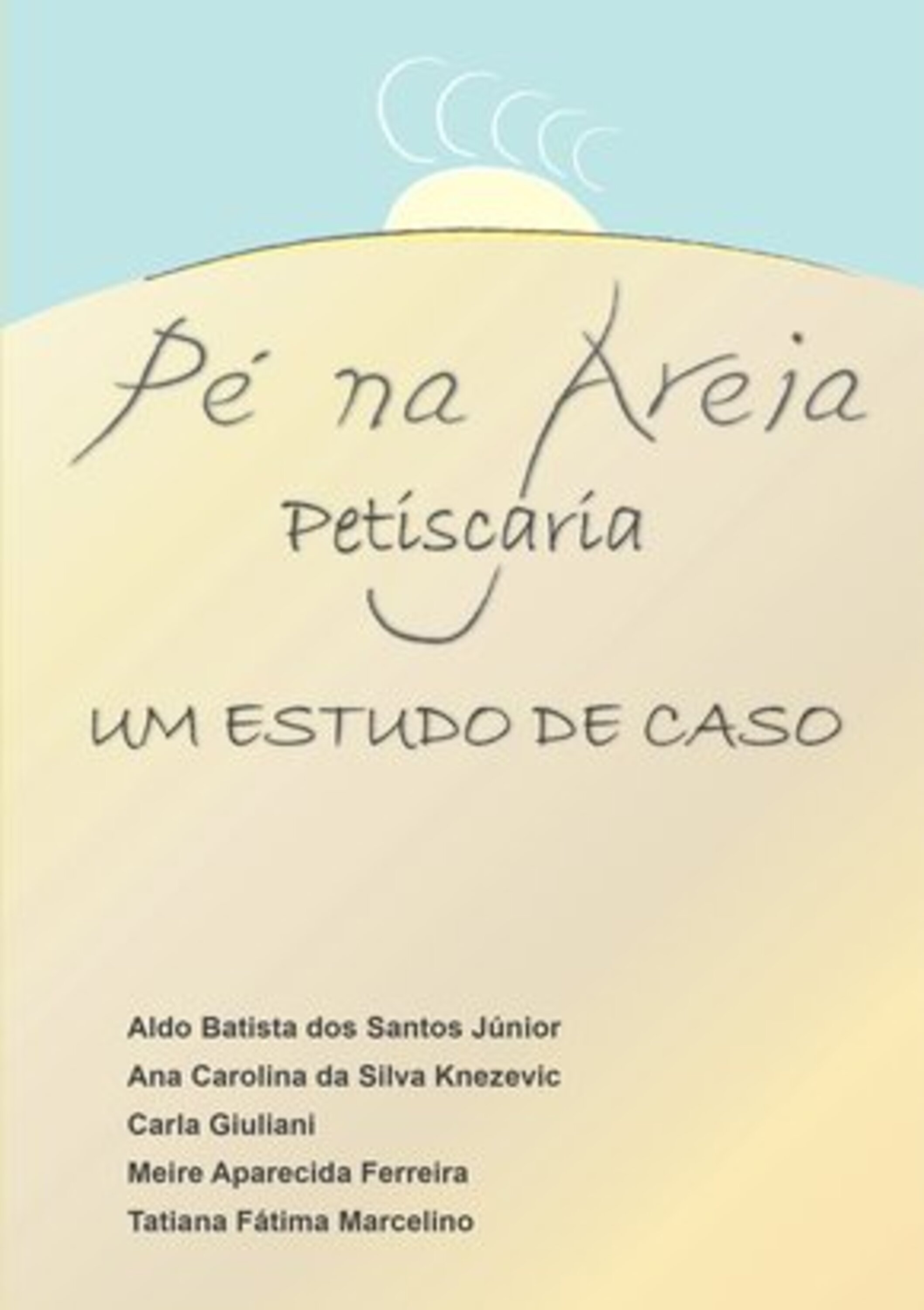 Plano Financeiro Pé Na Areia Petiscaria