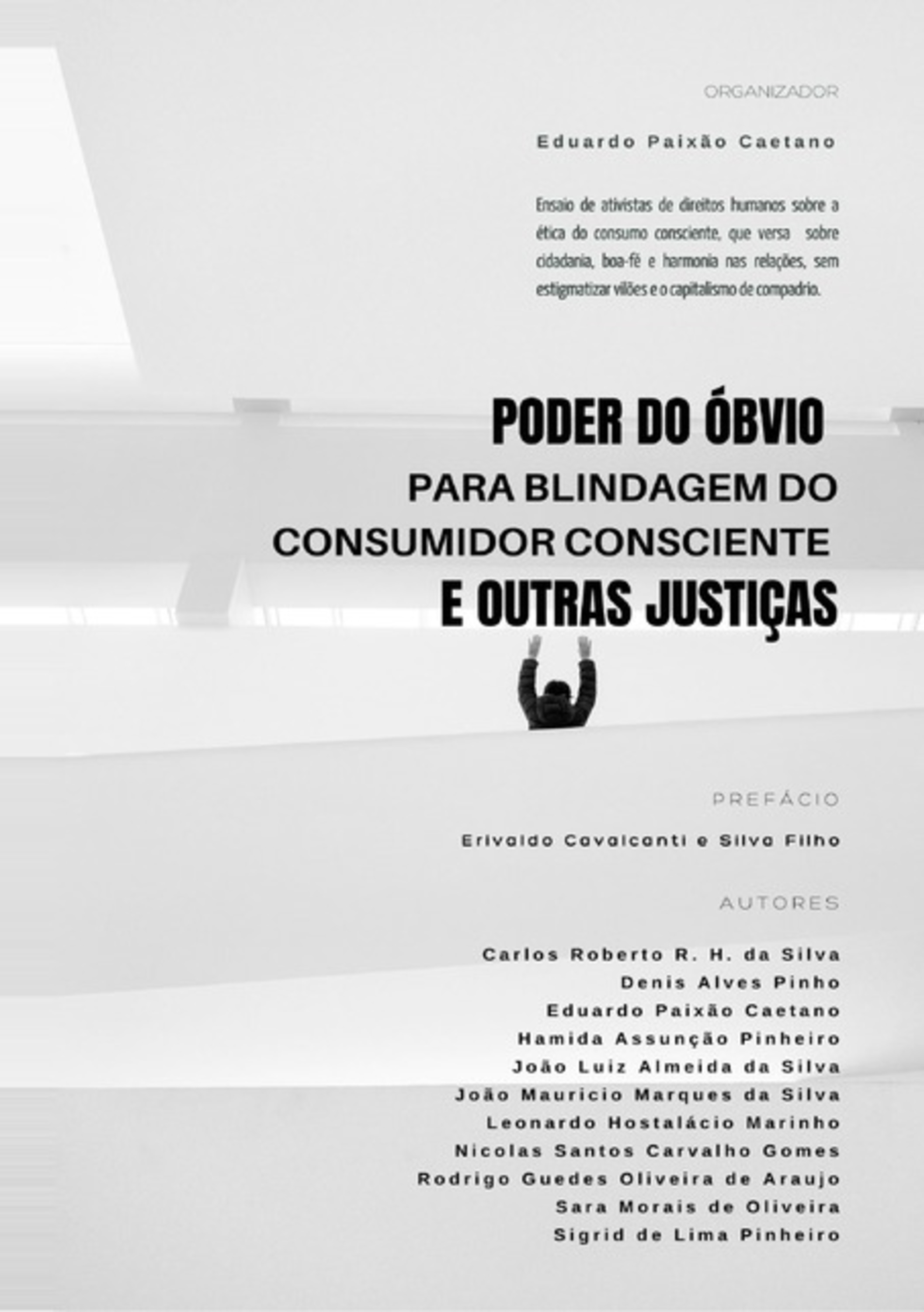 Poder Do Óbvio Para Blindagem Do Consumidor Consciente E Outras Justiças