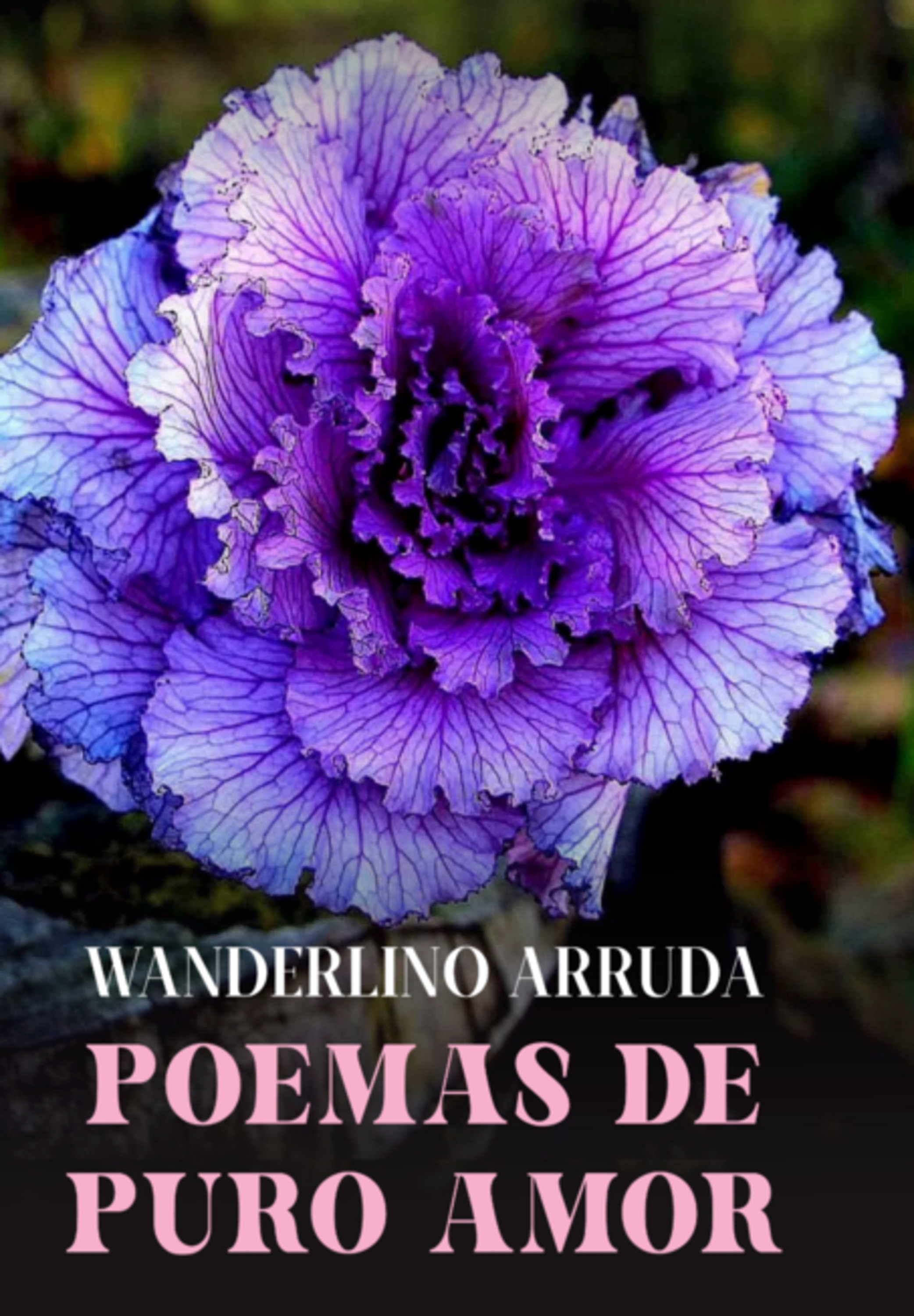 Poemas De Puro Amor