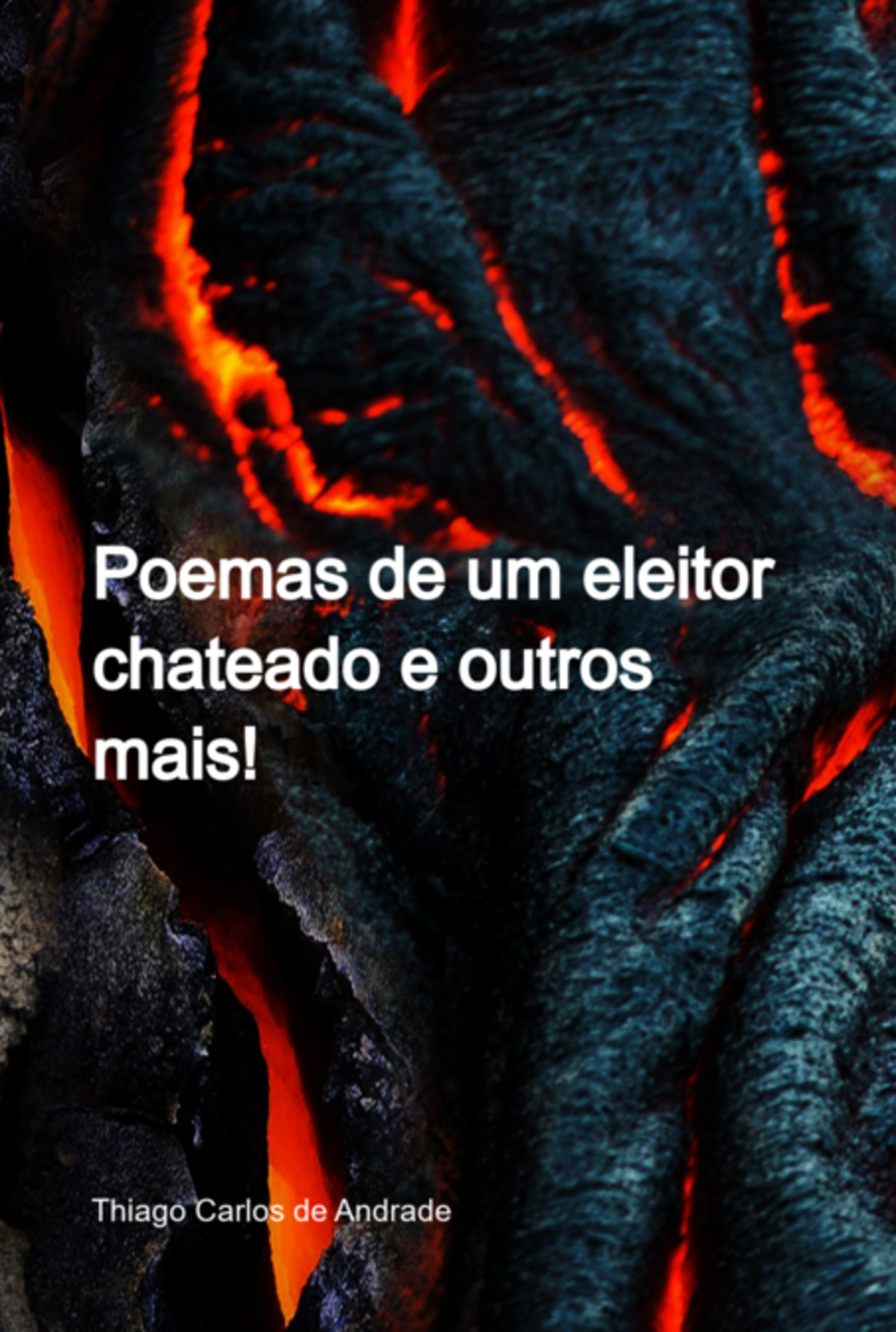 Poemas De Um Eleitor Chateado E Outros Mais!