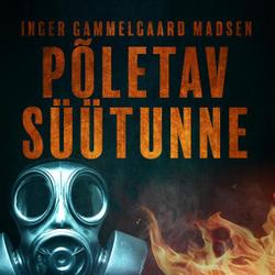 Põletav süütunne – 2. peatükk