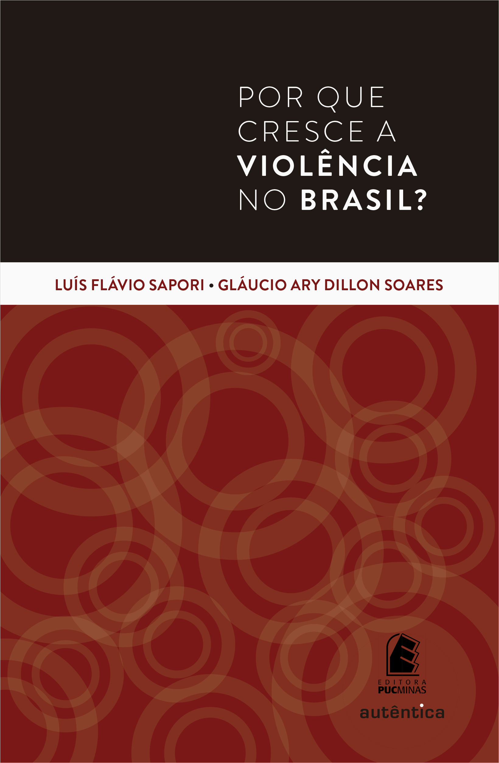 Por que cresce a violência no Brasil?