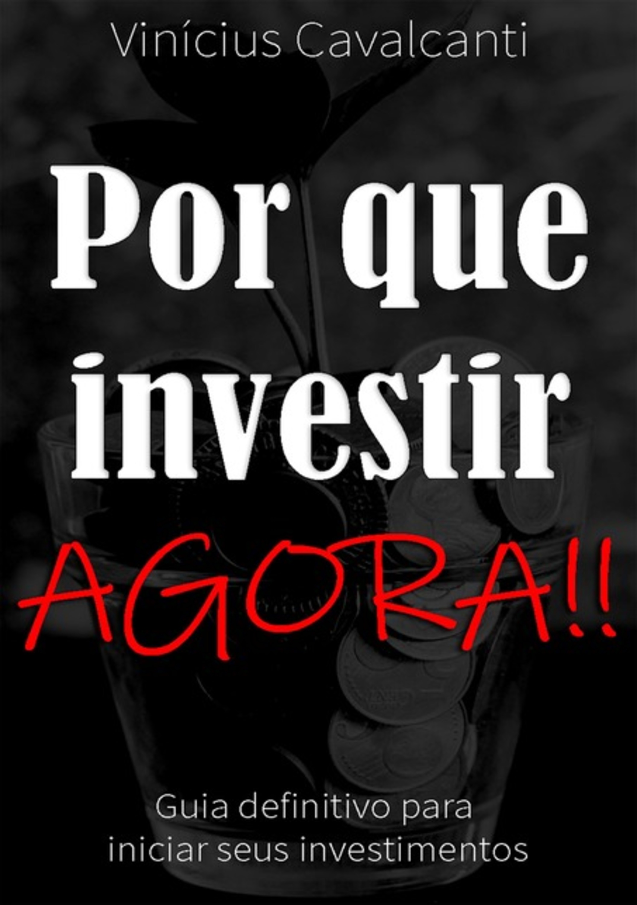 Por Que Investir Agora!!