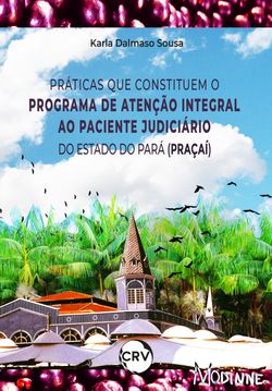 Práticas que constituem o programa de atenção integral ao paciente judiciário do estado do Pará (Praçaí)