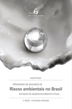 Programa de Seguros de Riscos Ambientais no Brasil - Estágio de Desenvolvimento Atual