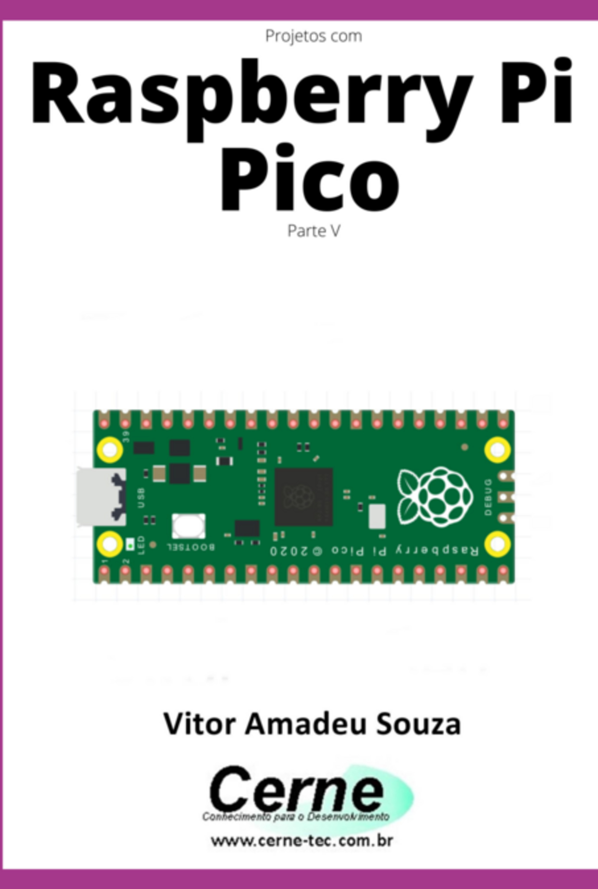 Projetos Com Raspberry Pi Pico Parte V