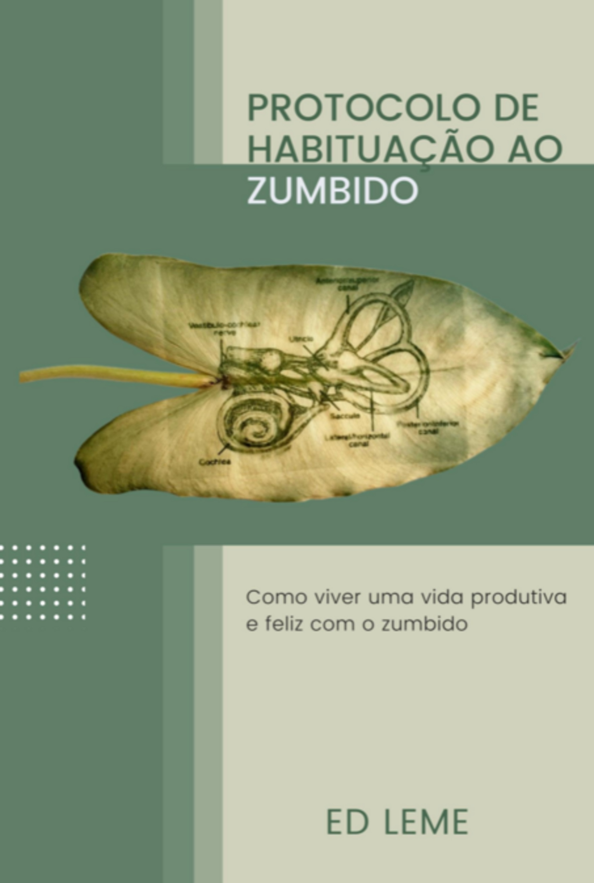 Protocolo De Habituação Ao Zumbido