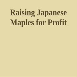 Raising Japanese Maples for Profit