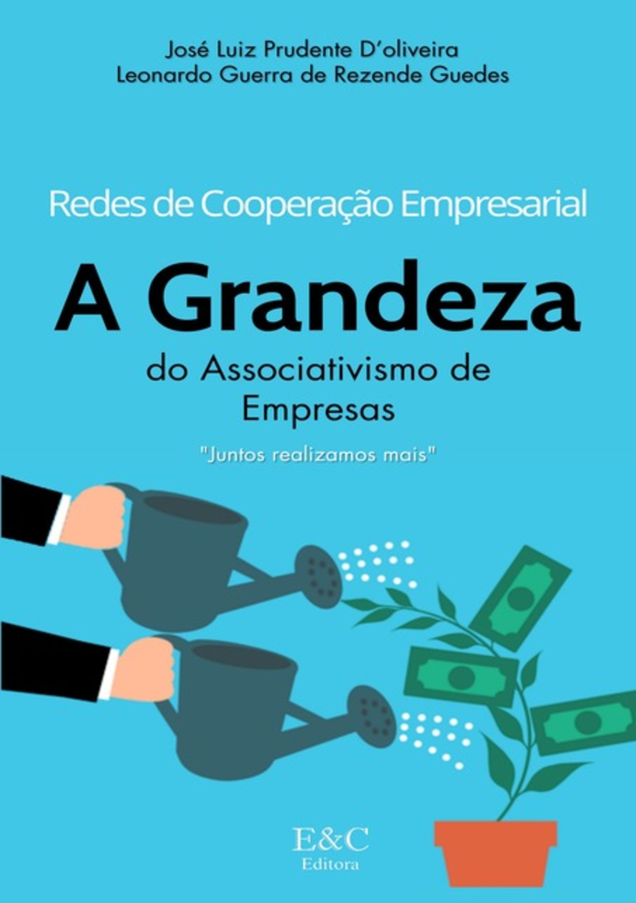 Redes De Cooperação Empresarial