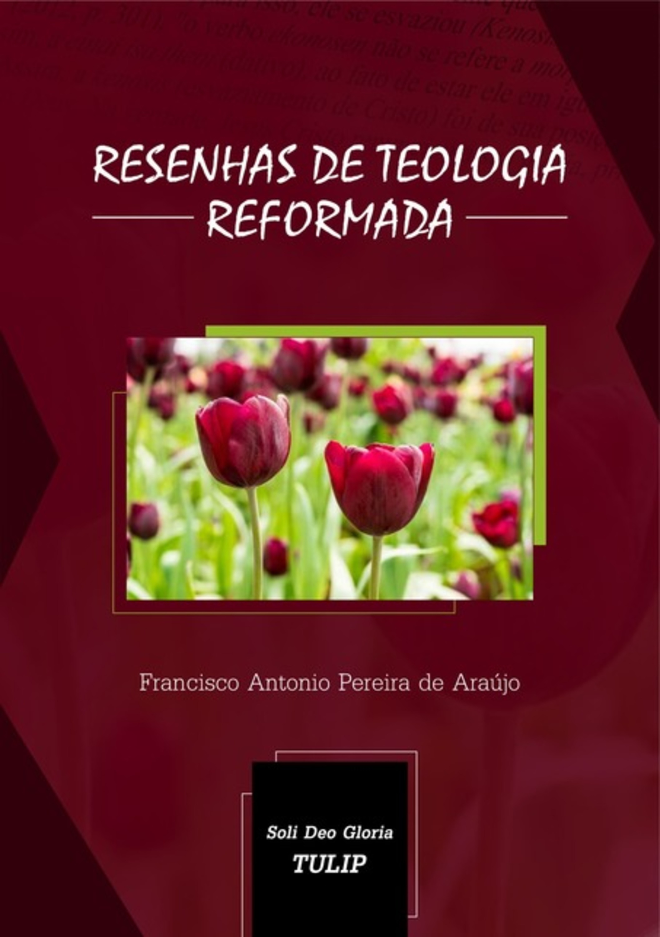 Resenhas De Teologia Reformada