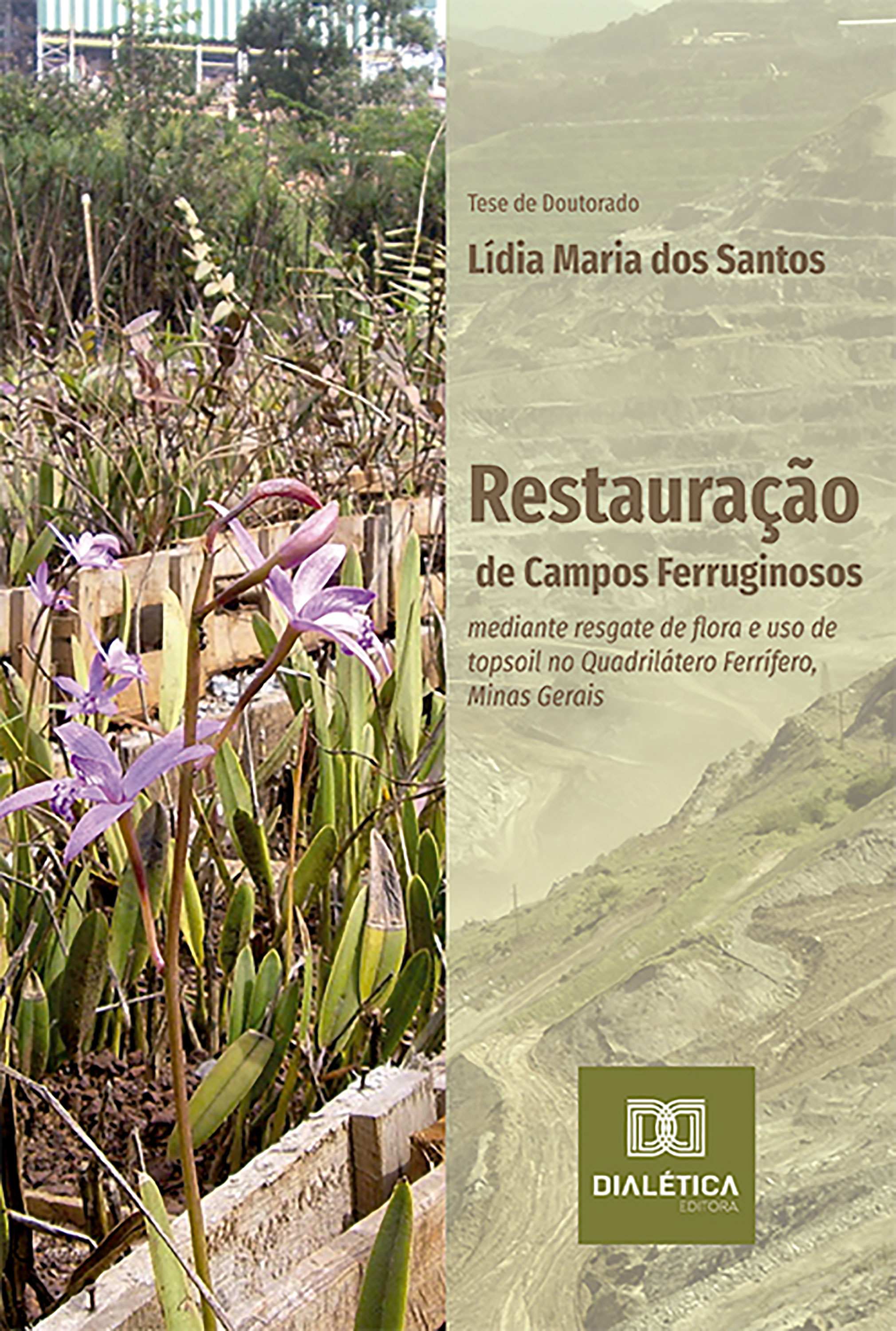 Restauração de Campos Ferruginosos mediante resgate de flora e uso de topsoil no Quadrilátero Ferrífero, Minas Gerais