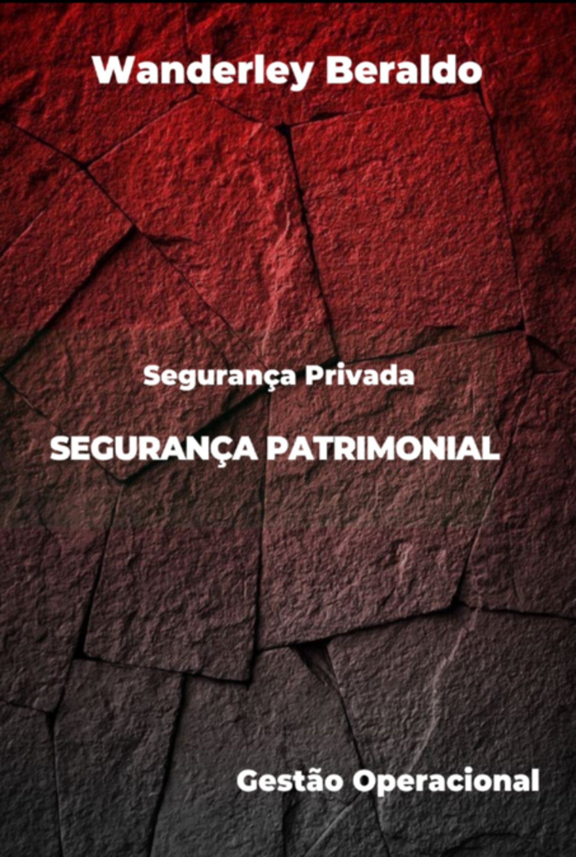 Segurança Patrimonial