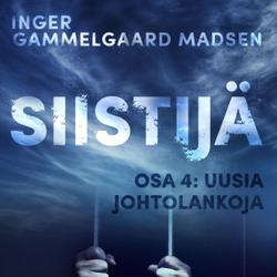 Siistijä 4: Uusia johtolankoja