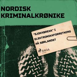 'Sjokkbrekk' i elektronikkforretning på Sørlandet