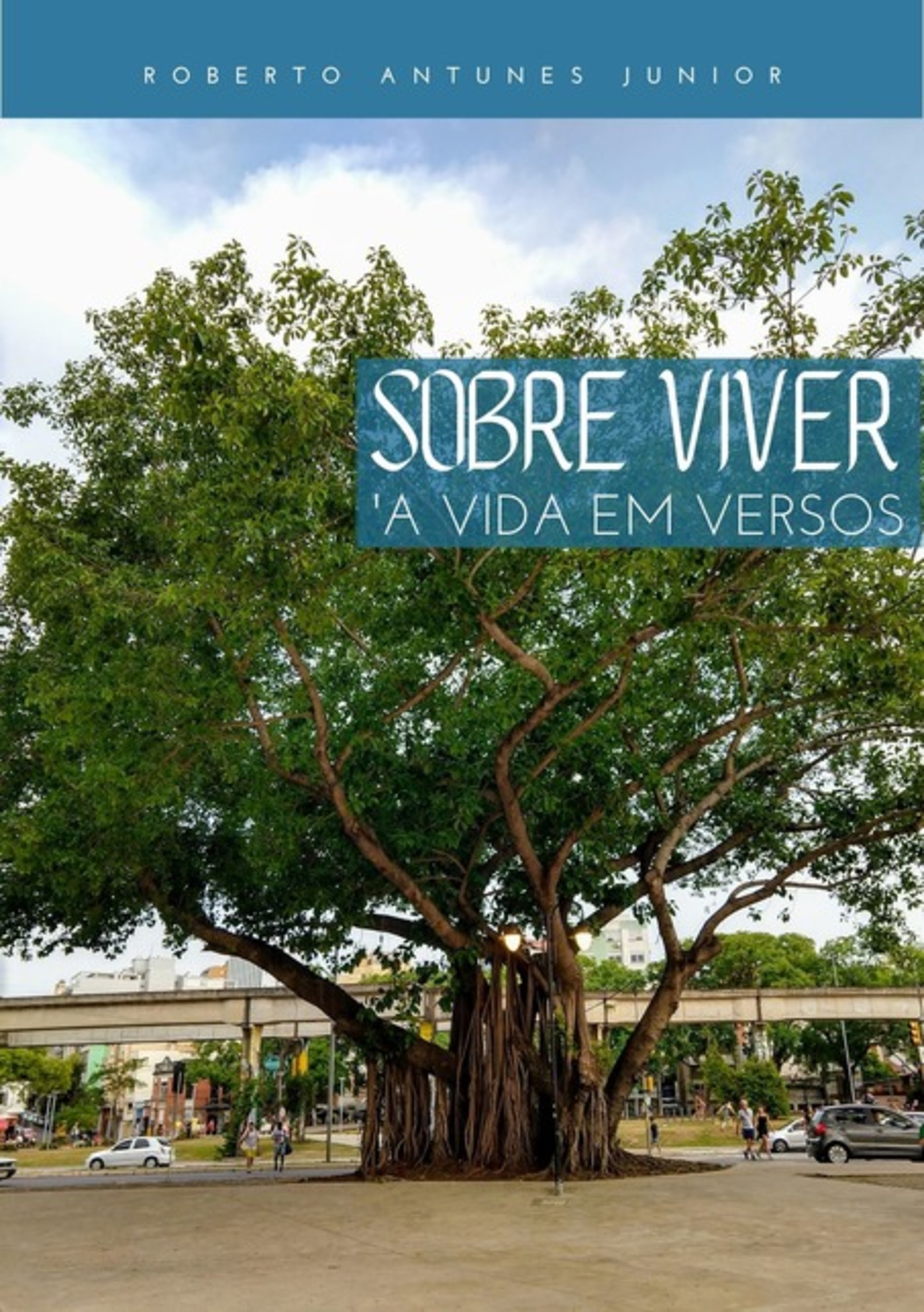 Sobre Viver A Vida Em Versos