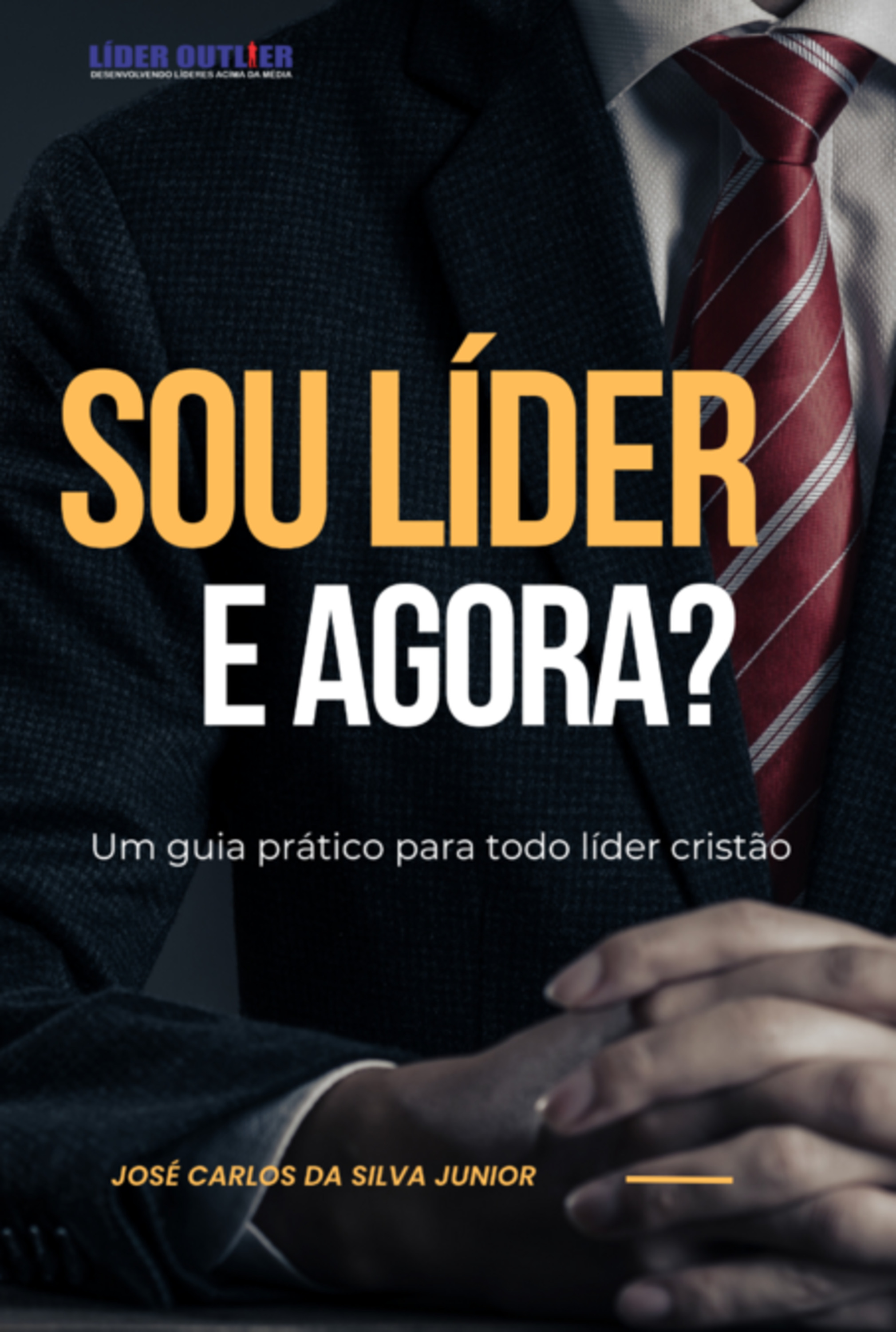 Sou Líder E Agora?