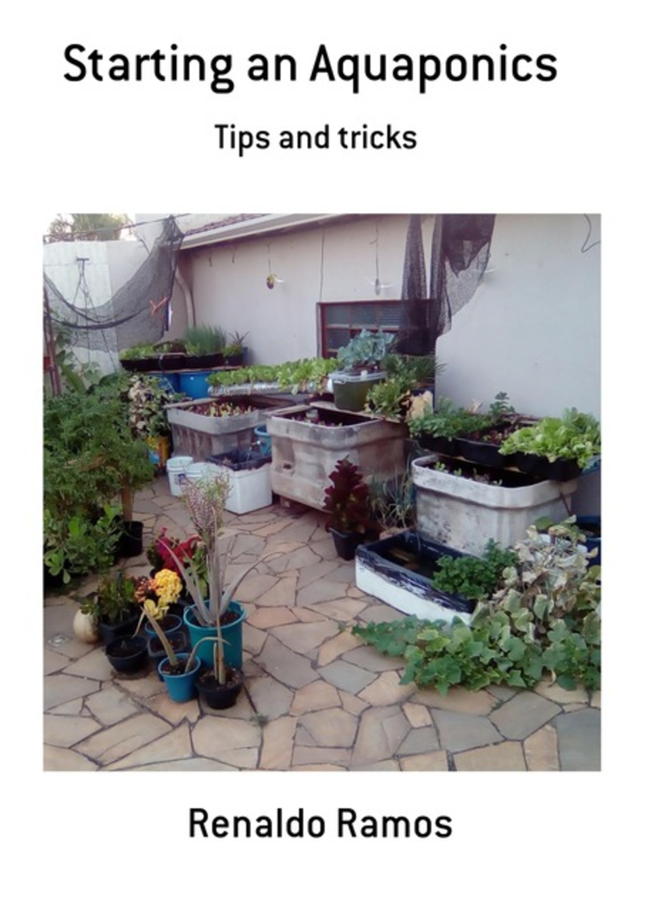 Starting An Aquaponics