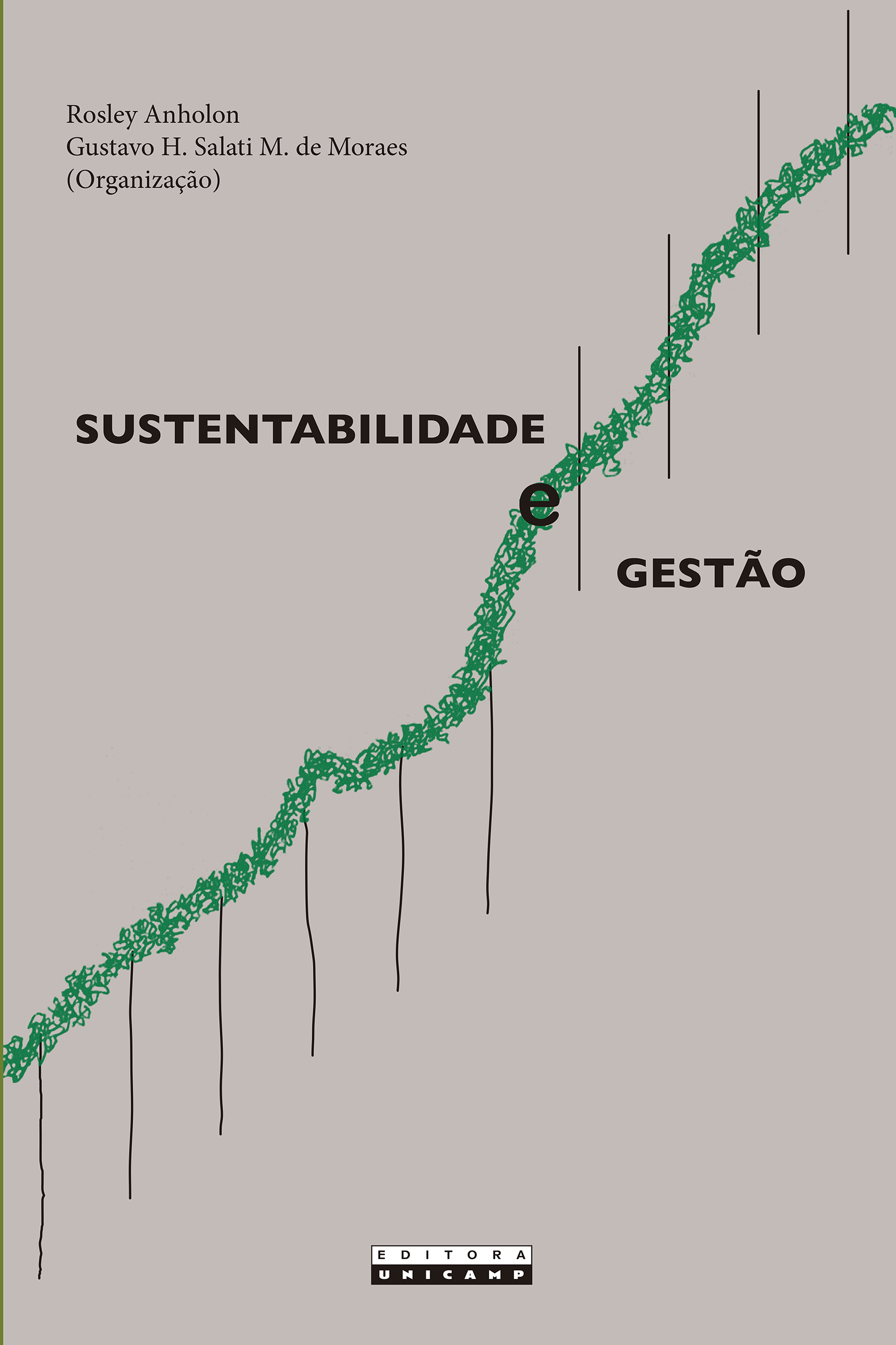 SUSTENTABILIDADE E GESTÃO