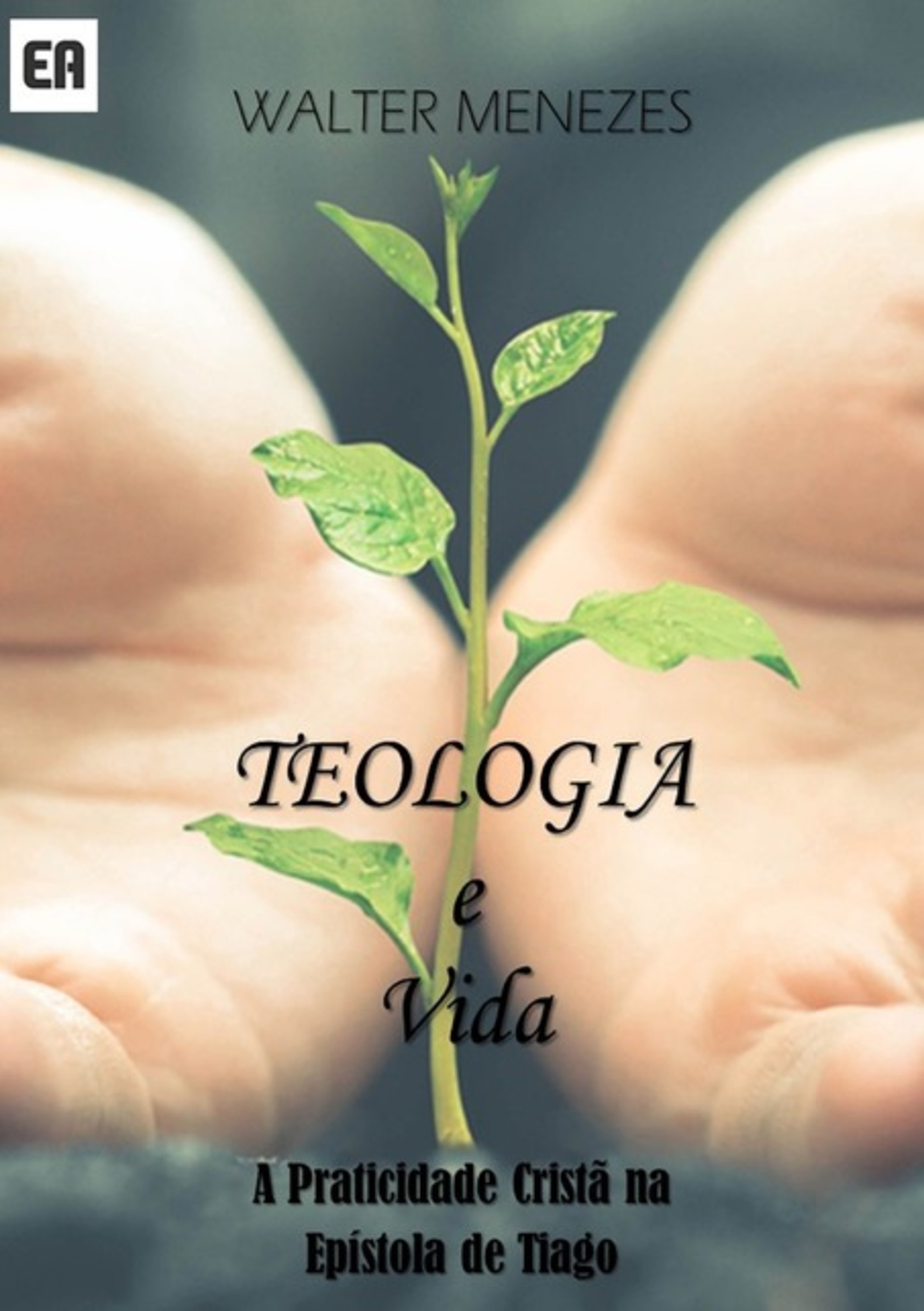 Teologia E Vida