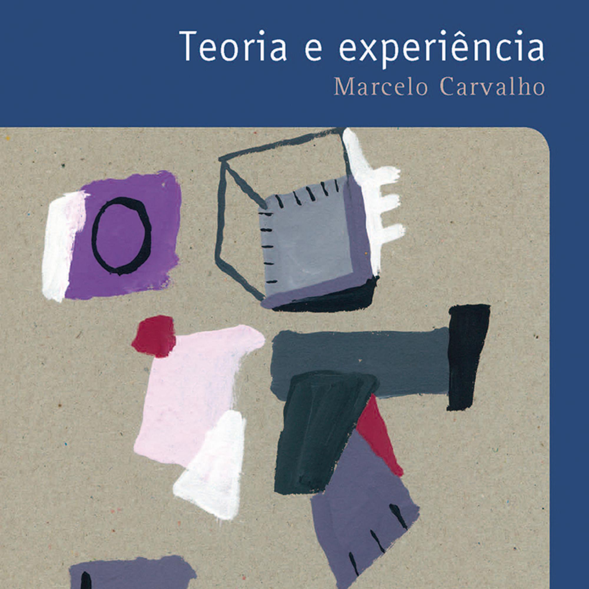 Teoria e experiência