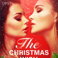 The Christmas Wish - Erotic Short Story