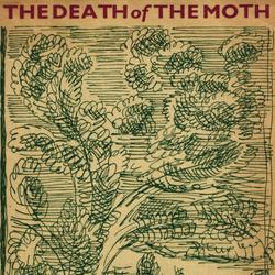 The Death of the Moth and Other Essays