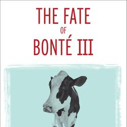 The Fate of Bonté III