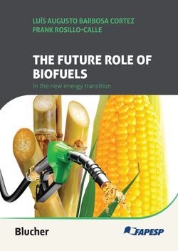 The future role of biofuels in the new energy transition