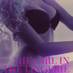 The Girl in the Lingerie Department - An Erotic Christmas Tale