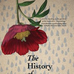 The History of Rain