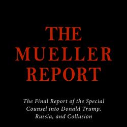 The Mueller Report