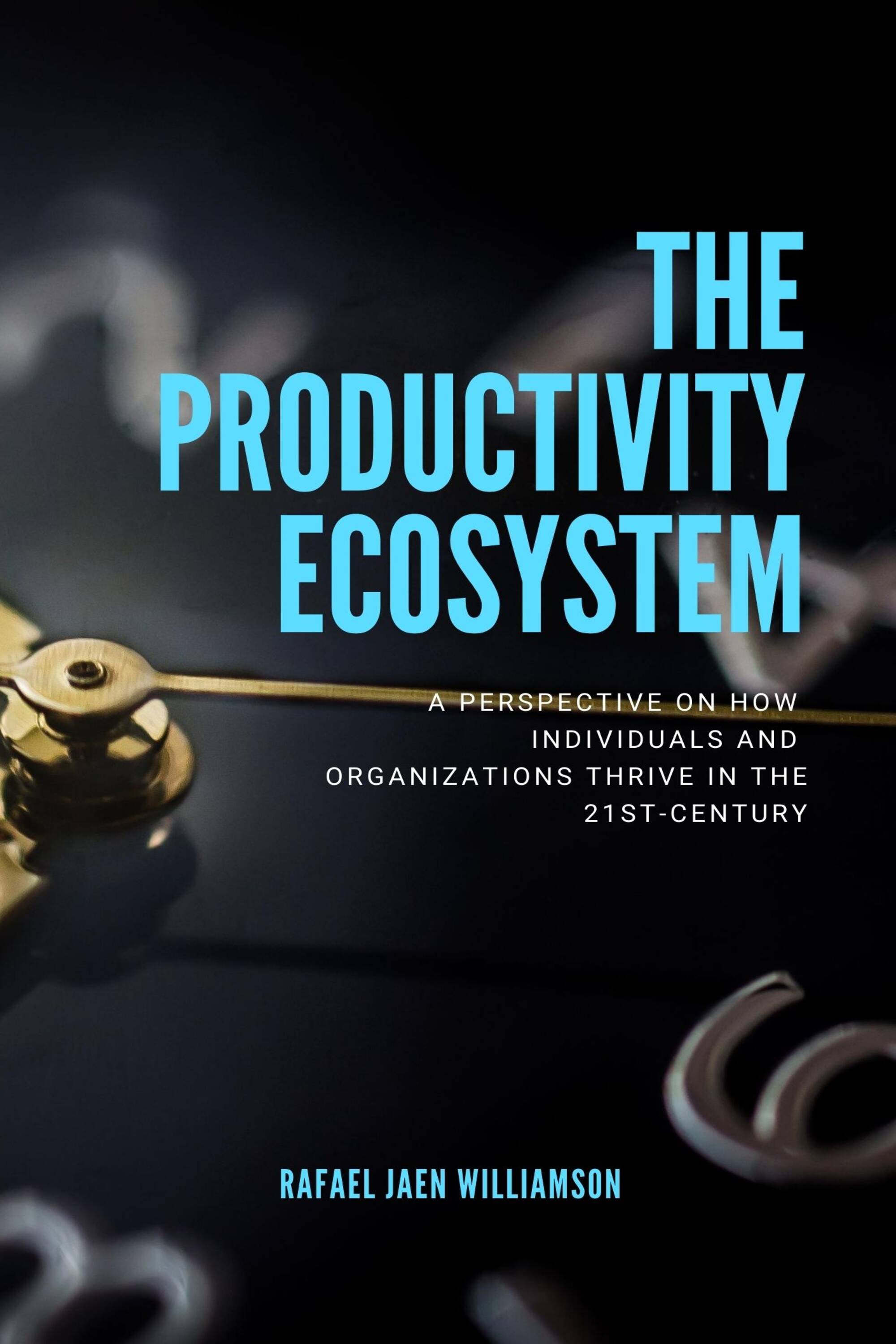 The Productivity Ecosystem