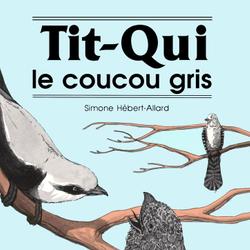 Tit-Qui le coucou gris