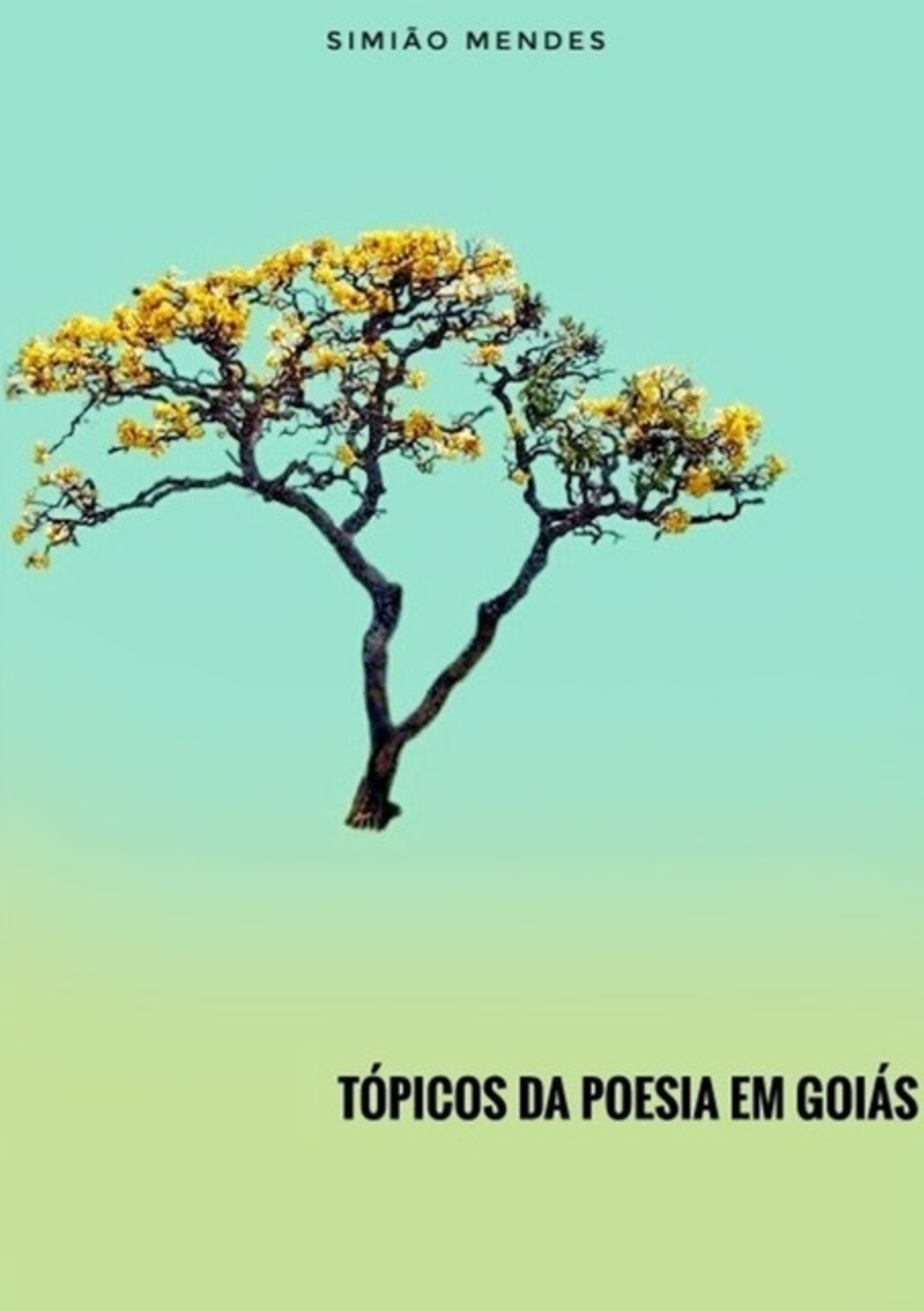 Tópicos Da Poesia Em Goiás