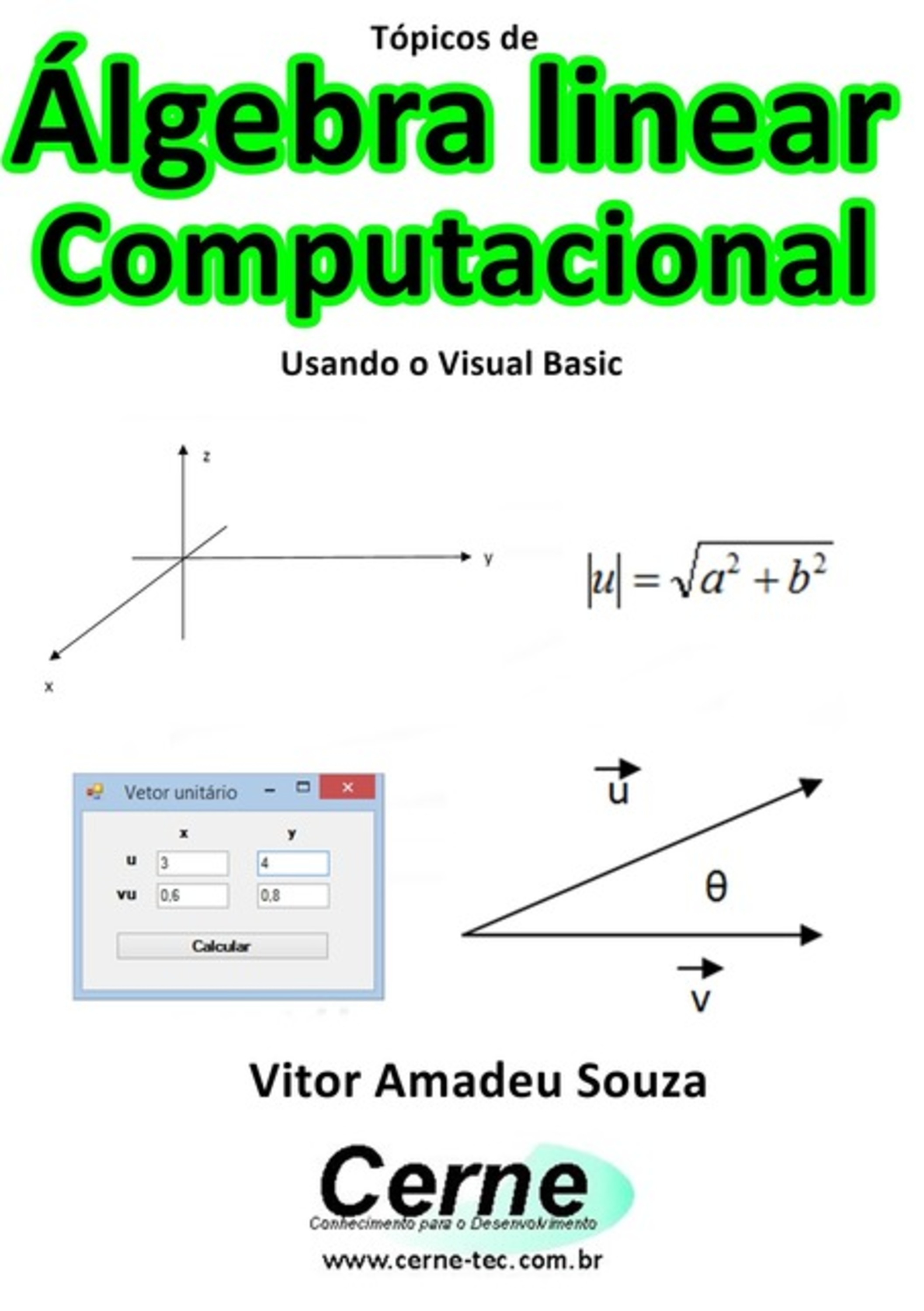 Tópicos De Álgebra Linear Computacional Usando O Visual Basic