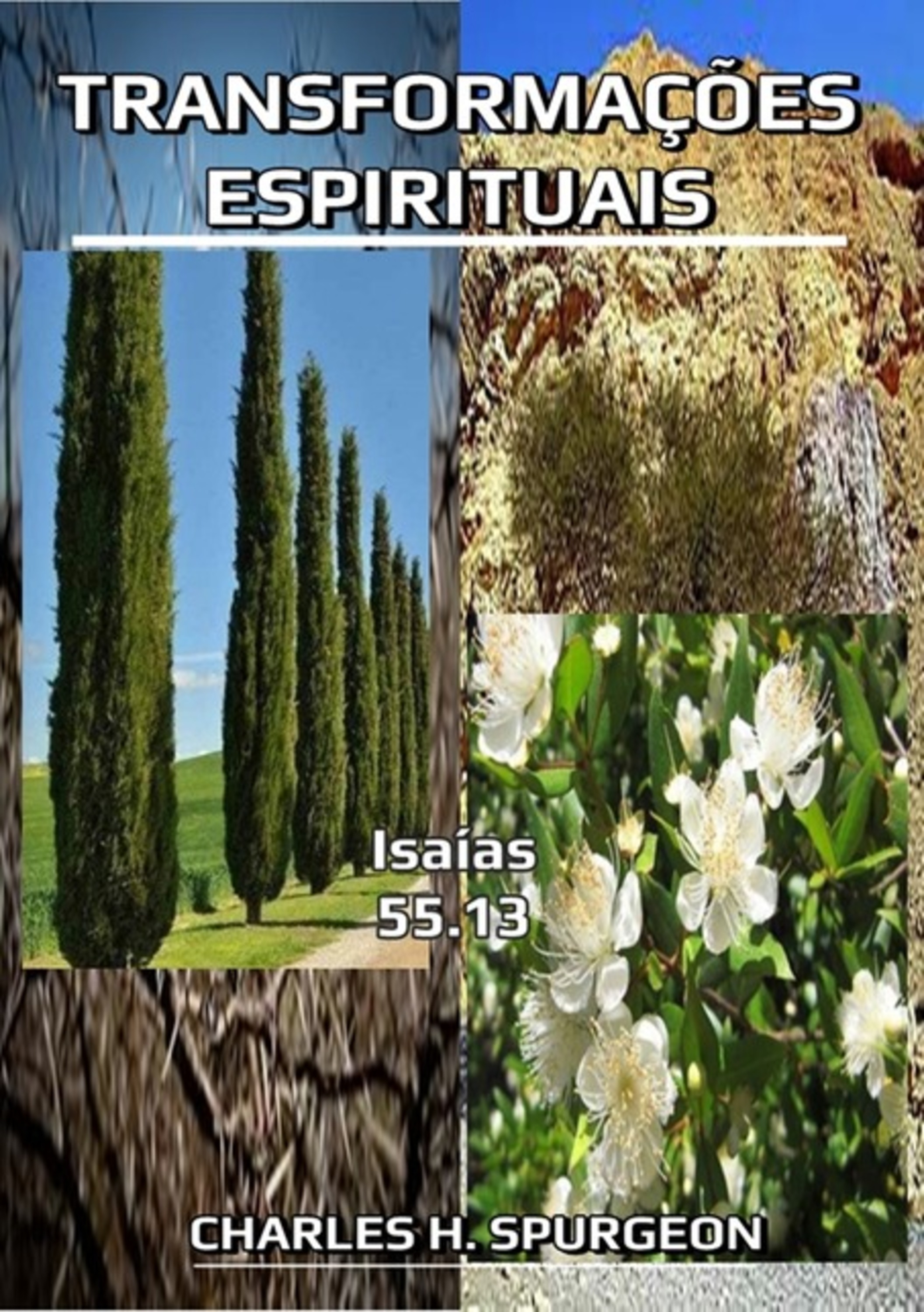 Transformações Espirituais