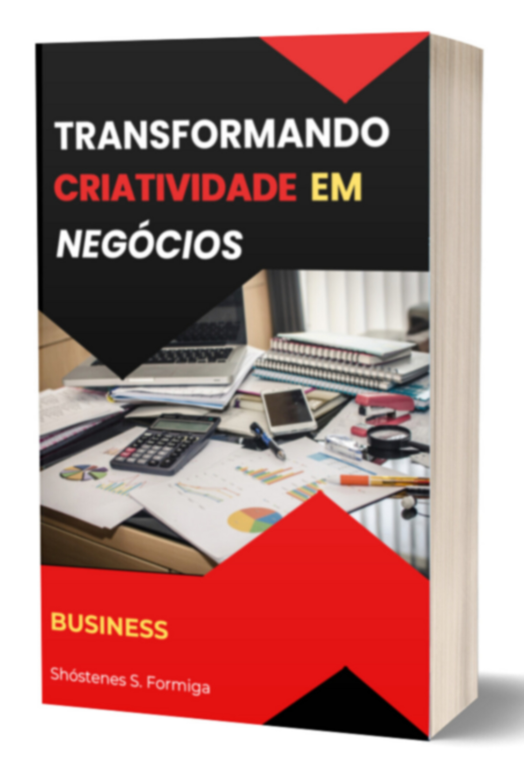 Transformando Criatividade Em Negócios