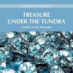 Treasure Under the Tundra