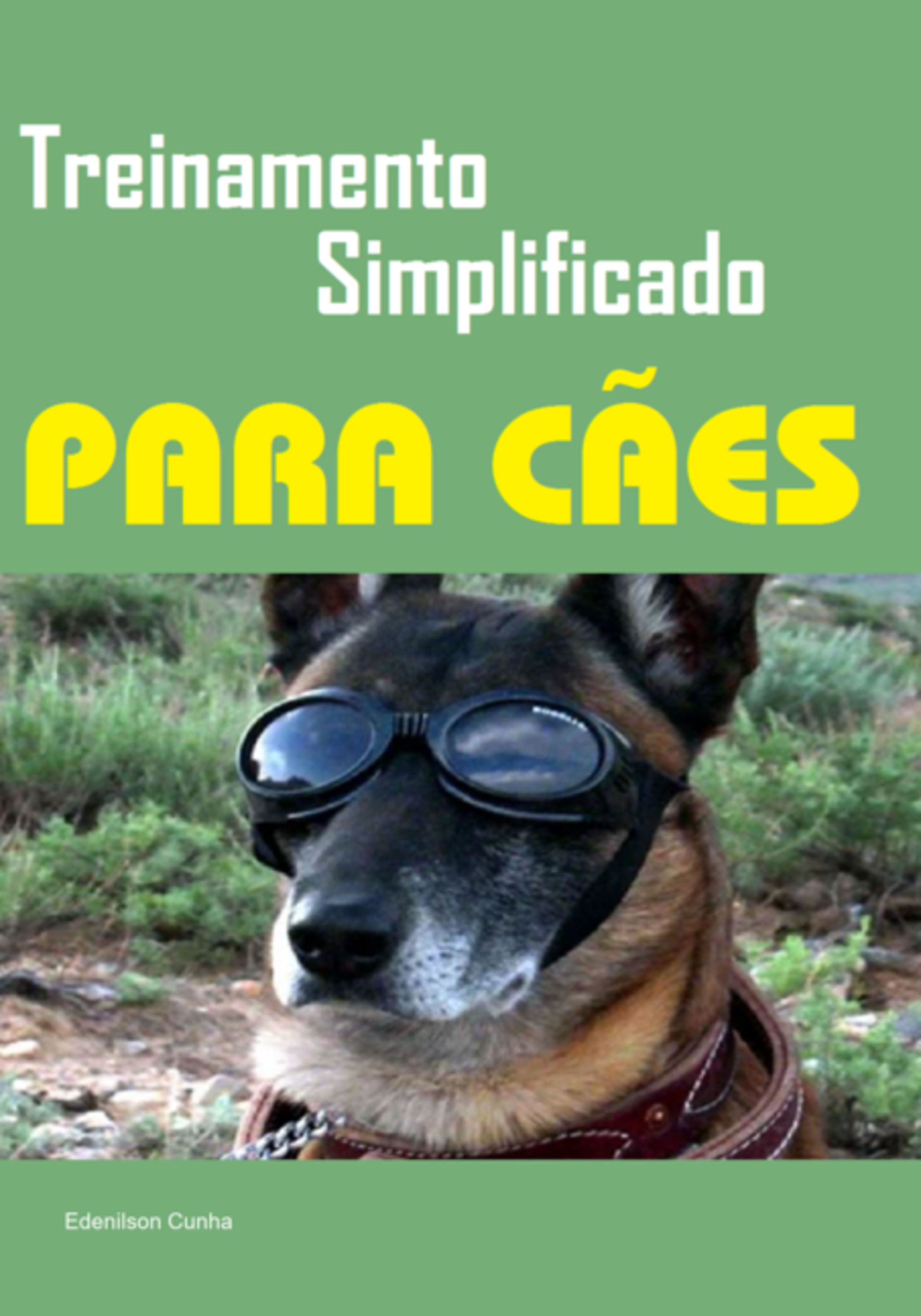 Treinamento Simplificado Para Cães