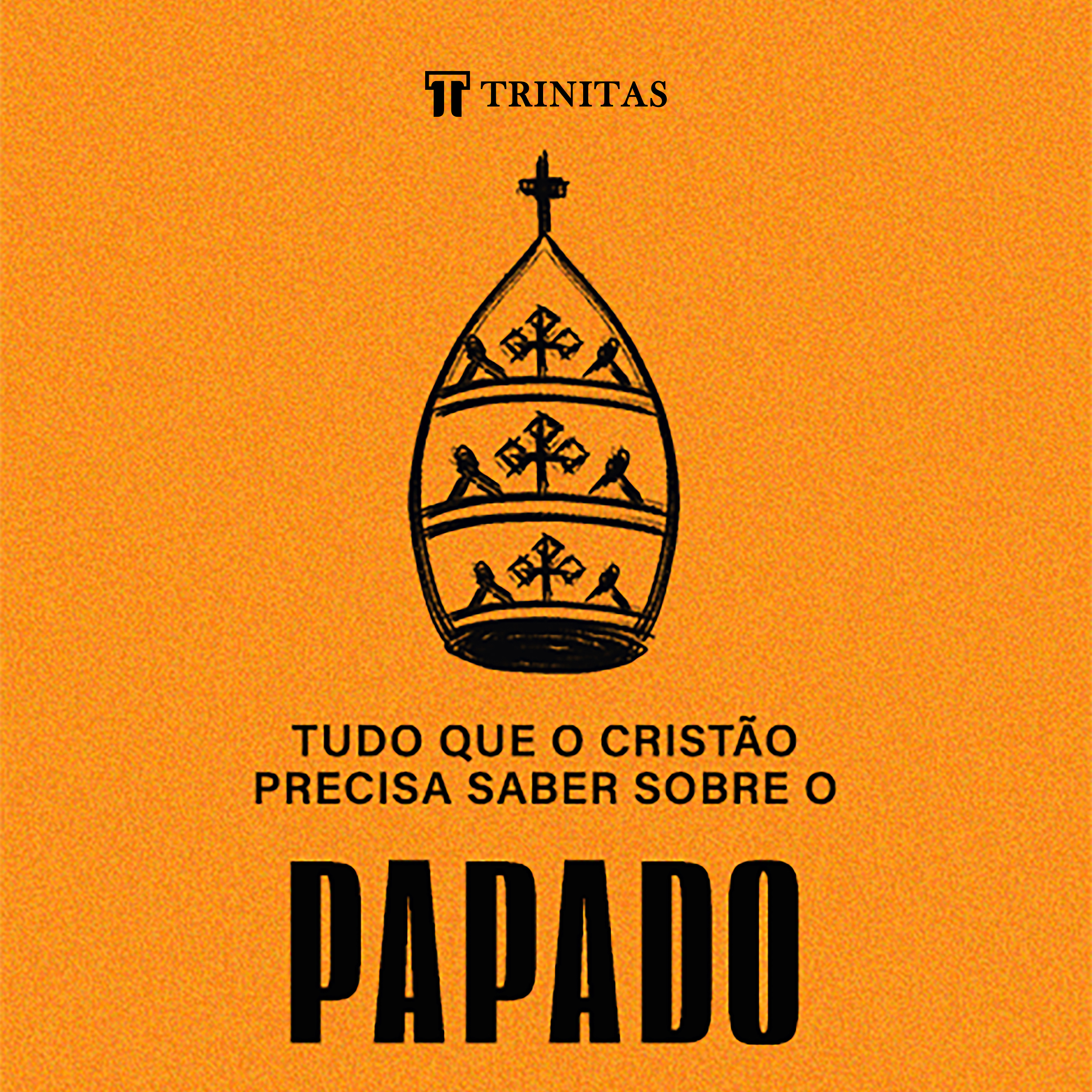 Tudo que o cristão precisa saber sobre o papado