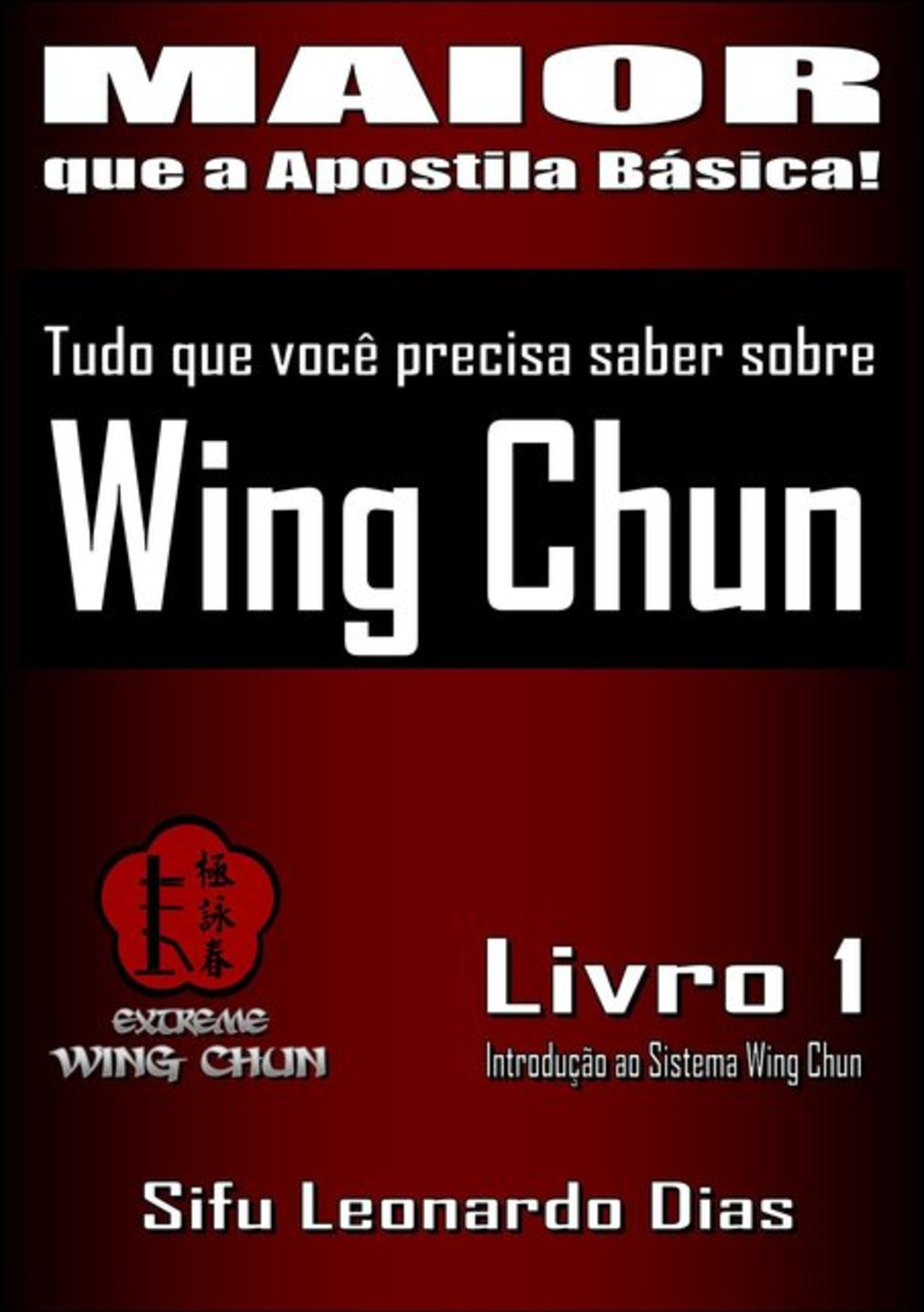 Tudo Que Você Precisa Saber Sobre Wing Chun