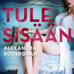 Tule sisään - eroottinen novelli