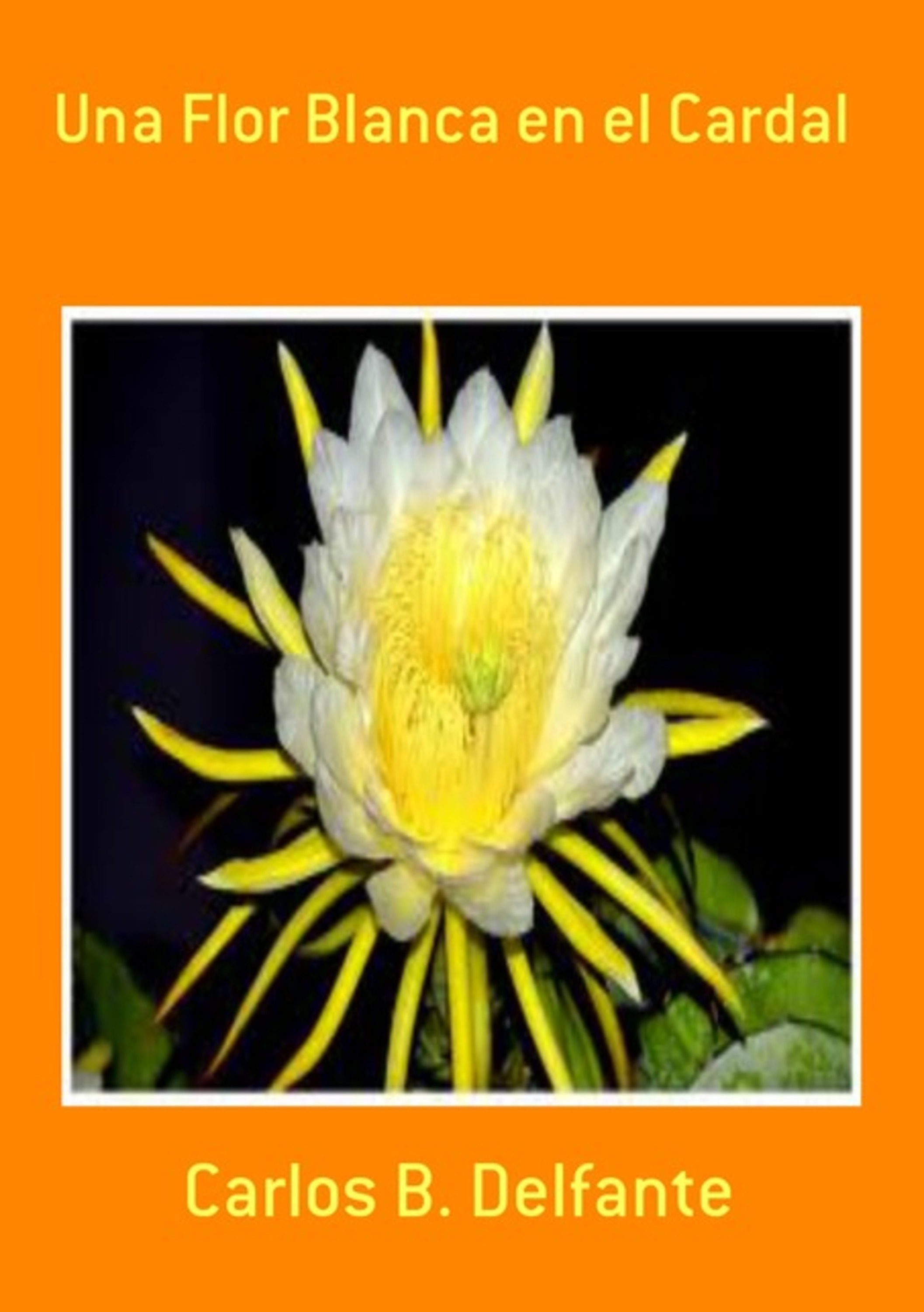 Una Flor Blanca En El Cardal