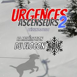 Urgences Ascenseurs 2 : La Malédiction du Flocon Noir