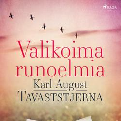 Valikoima runoelmia